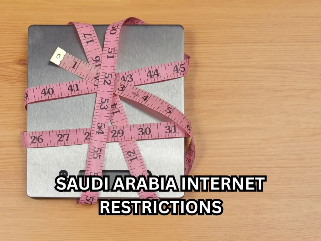 Top 7 Things to Know About Saudi Arabia Internet Restrictions 2 Saudi Arabia Internet restrictions